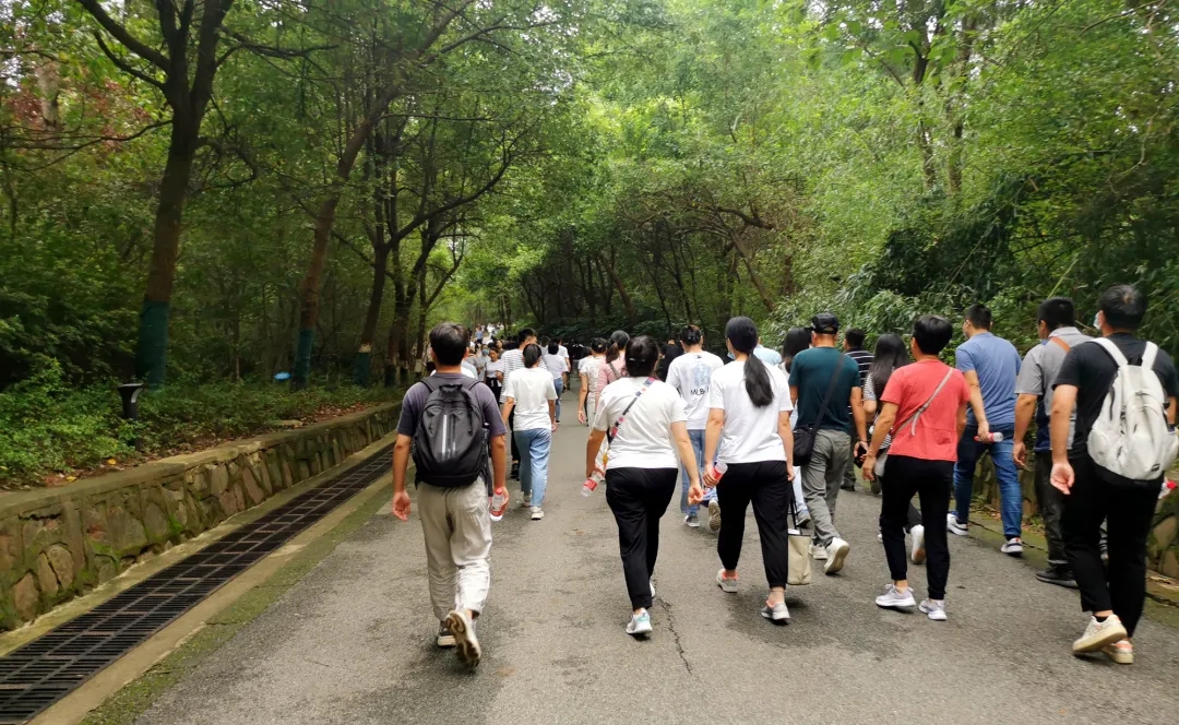 【动态】认真工作,快乐生活——多多28科技六周年登山活动圆满落幕 【动态】认真工作,快乐生活——多多28科技六周年登山活动圆满落幕